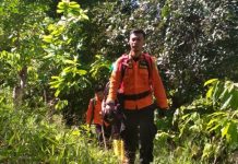 Nenek di Kolaka Dilaporkan Hilang Setelah Cari Kayu di Hutan