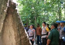 Kendarai Motor Trail, Kapolda Sultra Kunjungi Jati Tertua di Dunia yang Berada di Tampo