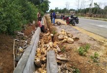 Kembali Ditemukan Proyek Pekerjaan Drainase di Mubar Rubuh