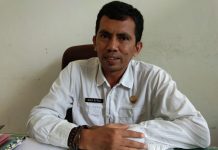 Jadi Sentra Pengembangan Jagung di Indonesia Timur, Muna Siapkan Lahan 15 Ribu Hektare