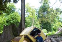 Jembatan Kayu di Mubar Ambruk, Mobil Truk Tercebur ke Kali