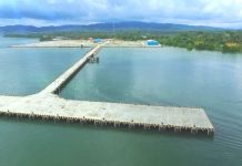 Jokowi Kemungkinan Besar Batal Resmikan New Port Bungkutoko