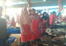 Pedagang Ikan Kompak Pakai Celemek Merah Sambut Kunjungan Jokowi