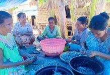 IRT di Desa Lemo Butur Dilatih Kelola Ikan Bernilai Ekonomis