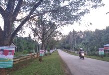 Bawaslu Mubar Ingatkan Tim Pemenangan Jokowi-Maruf soal APK