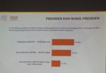 Survei Haluoleo Institute Jokowi-Maruf Kalah di Sultra