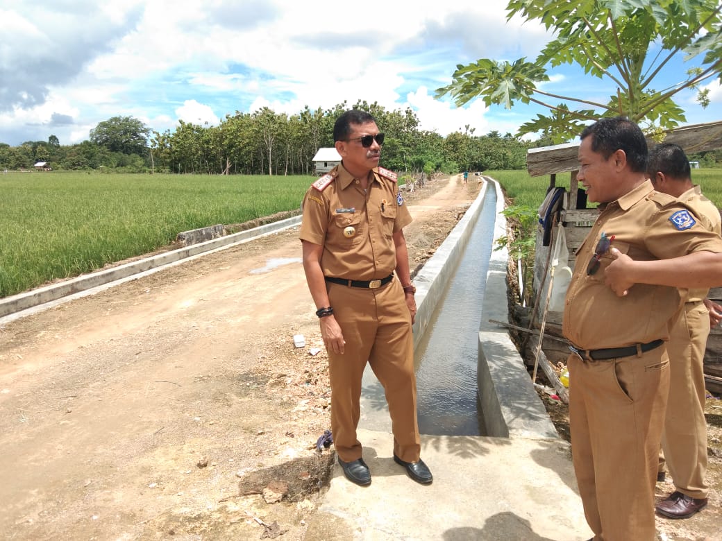 WhatsApp Image 2019-04-19 at 00.40.16