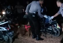 Polisi dan TNI Kejar Pelaku Penculikan Anak yang Lari di Hutan Nanga-nanga