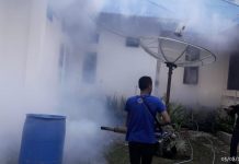 Korban DBD di Mubar Terus Bertambah