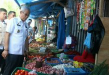 Harga Bawang Putih Meroket, Tembus Rp 80 Ribu Perkilo
