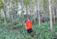 Warga Koltim Dilaporkan Hilang di Hutan saat Mencari Kayu