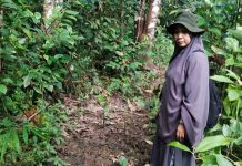 Desa Wolowa Digagas sebagai Lumbung Pangan Kabupaten Buton