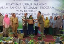 Urban Farming Ala BI : Strategi Peningkatan Kesejahteraan dan Pengendalian Inflasi