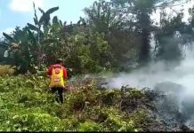 Manggala Agni Padamkan Dua Titik Karhutla di Sultra
