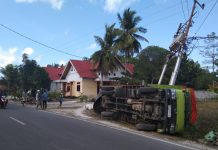 Truk Bermuatan Rumput Laut Terbalik dan Tumbangkan Tiang Listrik