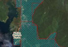 Dugaan Penambangan Ilegal PT Amin, Ikut Seret Nama Mantan Wakapolda