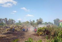 Lahan Gambut Terbakar, Kabut Asap Ganggu Pernapasan Warga Lalolara Kendari