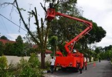 DLHK Kendari Datangkan Satu Unit Mobil Crane Penebangan Pohon