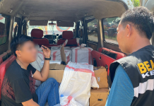 Bea Cukai Kendari Berhasil Sita 941.600 Batang Rokok Ilegal