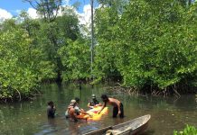 Warga Desa Umalaoge Temukan Mayat yang Terapung di Atas Air di Hutan Bakau