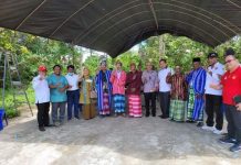 Wagub Tinjau Pelaksanaan Program Sultra Sehat di Buteng