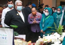 Gubernur Sultra Minta Bupati dan Wali Kota Dukung Program PKK