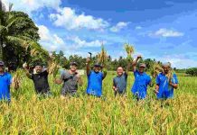 Milenial Pomalaa Melek Pertanian Organik Berkat Dukungan PT Vale