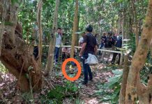 Warga Puuwatu Temukan Kerangka Manusia Tanpa Identitas di Dalam Hutan