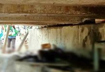 Warga Kendari Digegerkan Penemuan Mayat Pria di Bawah Kolong Jembatan