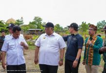 Gubernur Sultra Canangkan Vaksinisasi PMK di Kabupaten Kolaka Utara