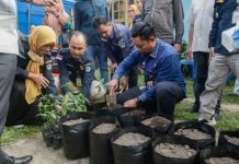 Pemkot Kendari Serahkan Bantuan Sarana Pertanian dan Bibit Cabai