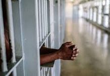 Memaknai Hakikat “Back To Basics” Pemasyarakatan