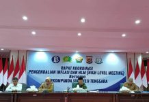 Sekda Sultra Ikut Rakor Pengendalian Inflasi