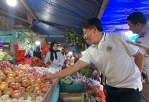 Stok dan Harga Bahan Pokok di Sultra Terpantau Stabil