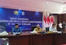 Gubernur Sultra Ikut Rakor Pengendalian Inflasi