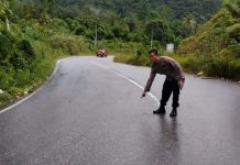 Anak Usia 7 Tahun Tewas Akibat Lakalantas