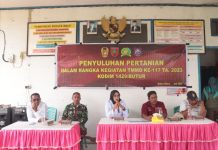 Satgas TMMD Kodim 1429/Butur Beri Penyuluhan Kelompok Tani Desa Lapandewa