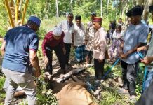 BGR Salurkan Daging Kurban Kepada Warga Dua Desa di Buteng
