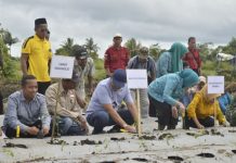 Wujudkan Kemandirian Pangan, Wali Kota Baubau Menggaungkan Gerakan Tanam Cabai